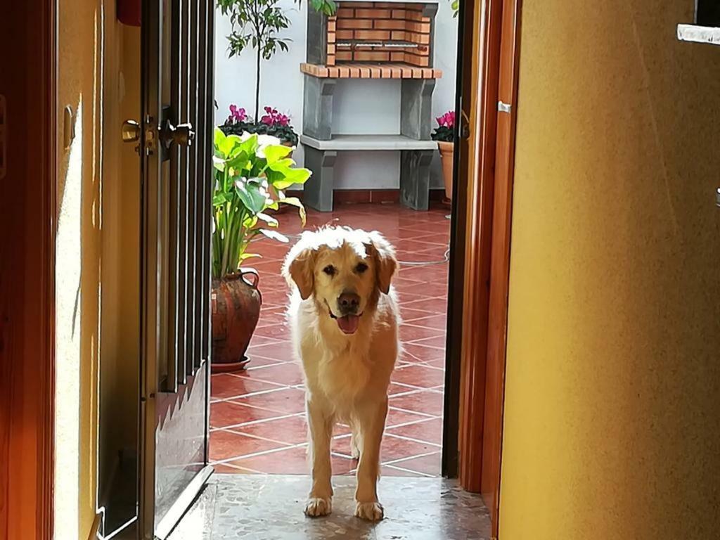 Casa Rural La Herencia Alia Bagian luar foto